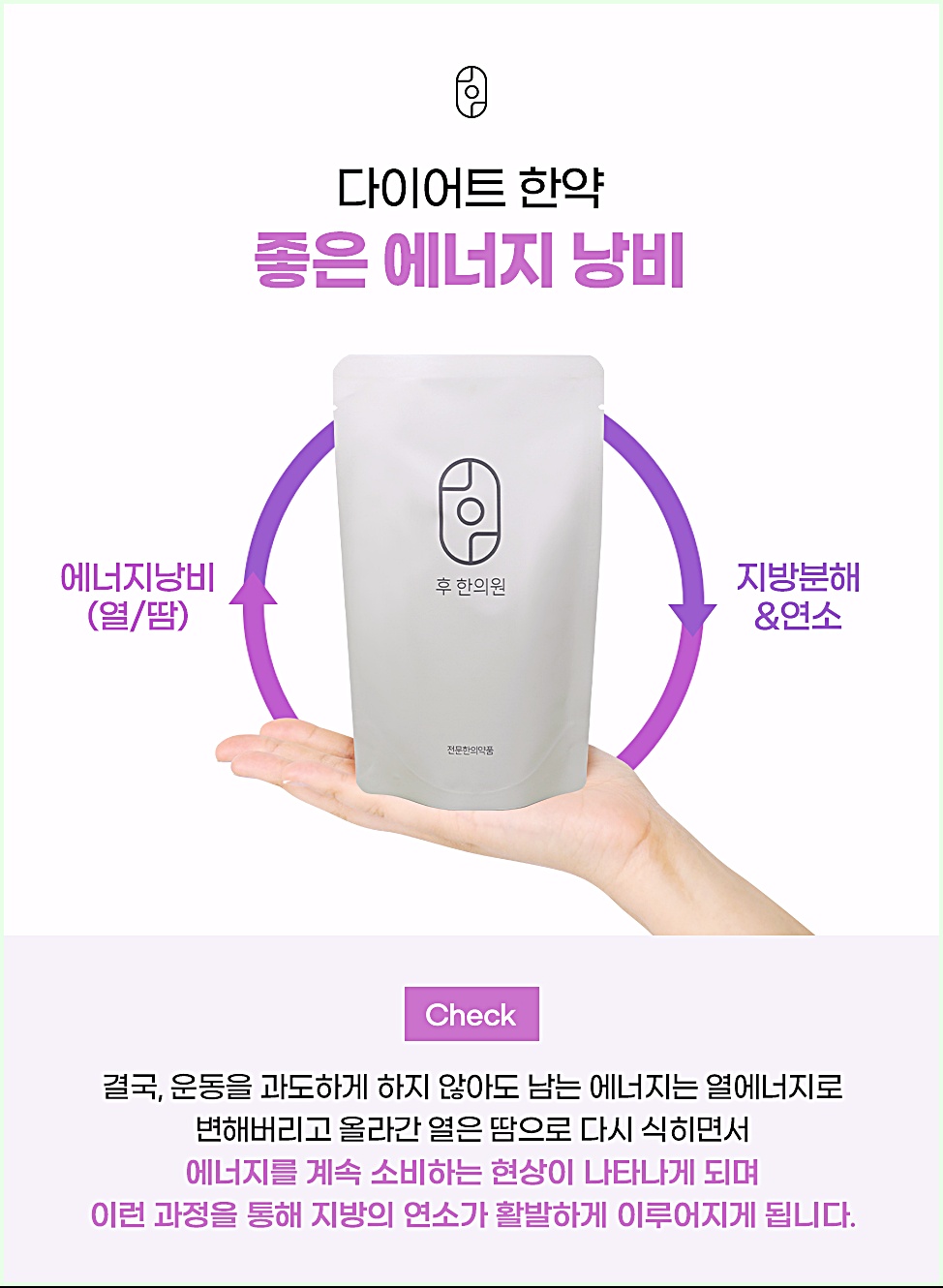 다이어트 한약이 에너지 대사를 통해 작용하는 원리 설명